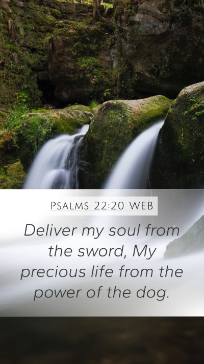 Psalms 22:20 WEB Bible Verse Image