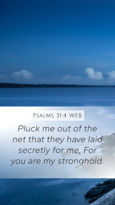 Psalms 31:4 WEB Mobile Phone Wallpaper - Pluck me out of the net that they have laid - Mobile Bible Verse Wallpaper