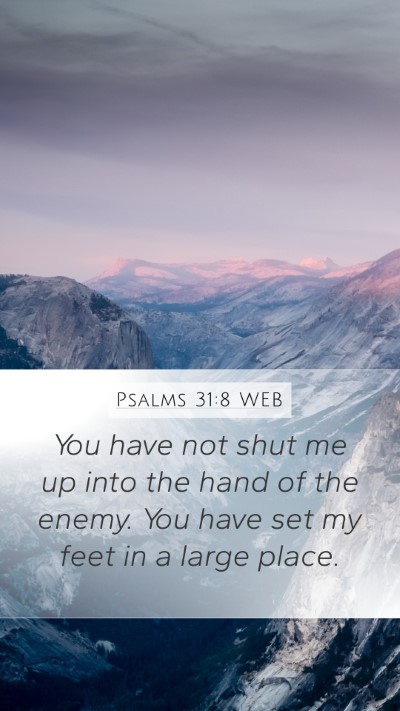Psalms 31:8 WEB Mobile Phone Wallpaper - You have not shut me up into the hand of the - Mobile Bible Verse Wallpaper