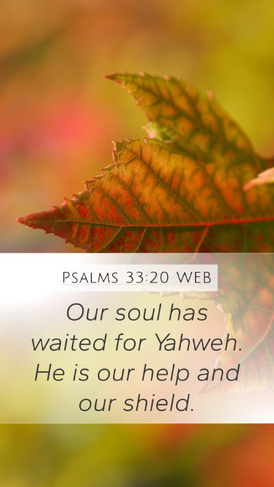 Psalms 33:20 WEB Bible Verse Image