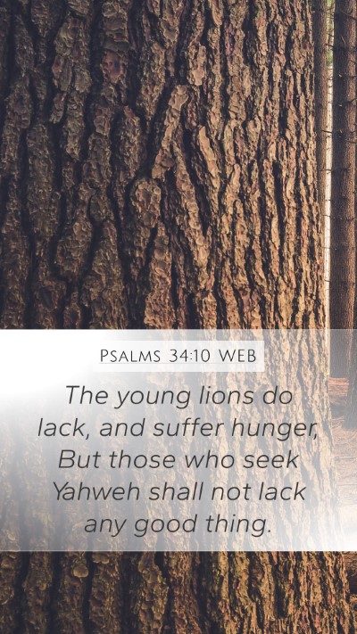 Psalms 34:10 WEB Bible Verse Image