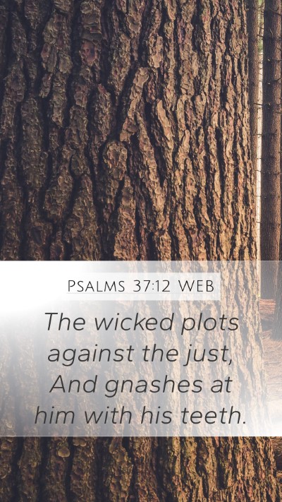 Psalms 37:12 WEB Bible Verse Image