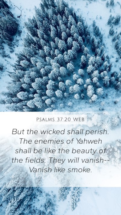 Psalms 37:20 WEB Bible Verse Image