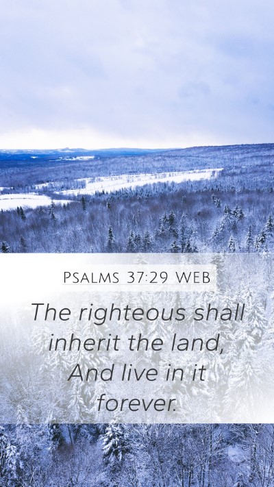 Psalms 37:29 WEB Bible Verse Image