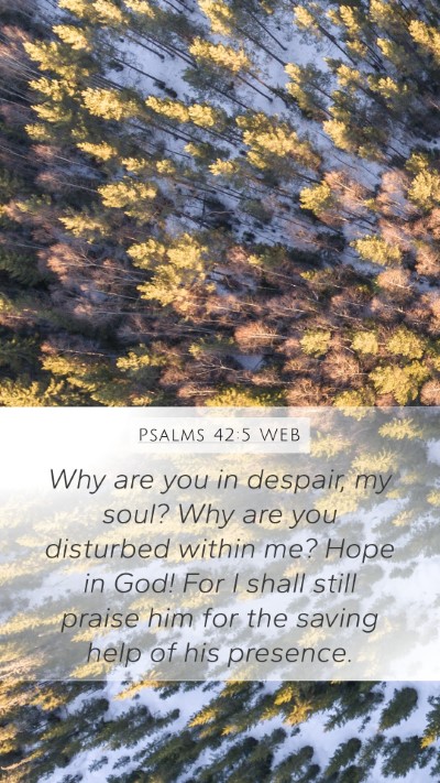 Psalms 42:5 WEB Bible Verse Image