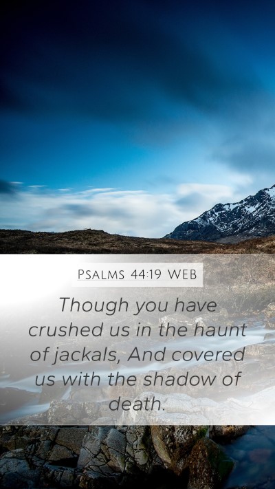 Psalms 44:19 WEB Bible Verse Image