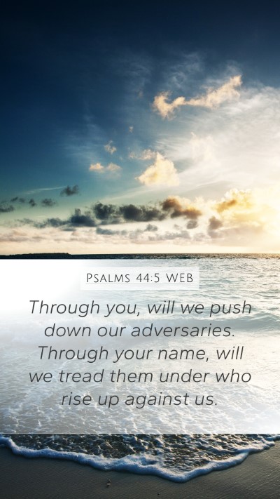 Psalms 44:5 WEB Bible Verse Image
