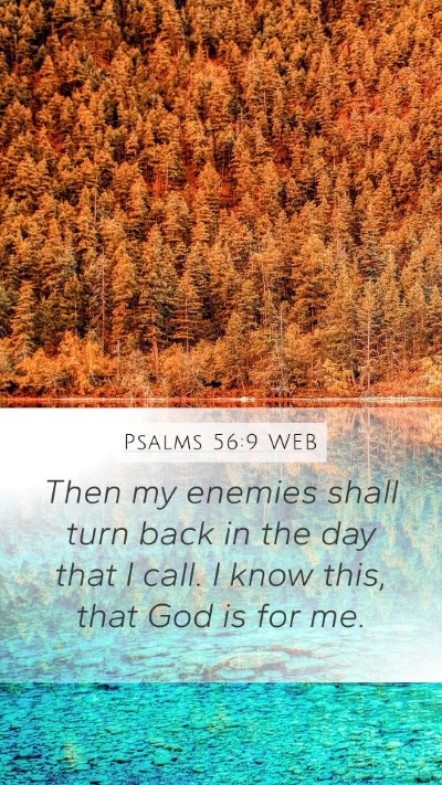Psalms 56:9 WEB Bible Verse Image