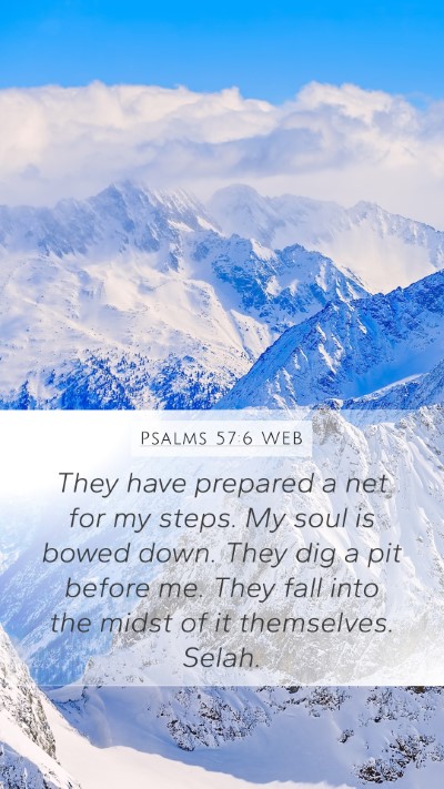 Psalms 57:6 WEB Bible Verse Image
