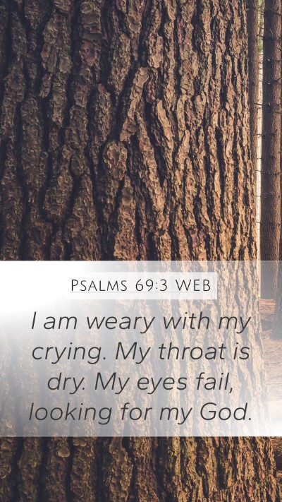Psalms 69:3 WEB Bible Verse Image