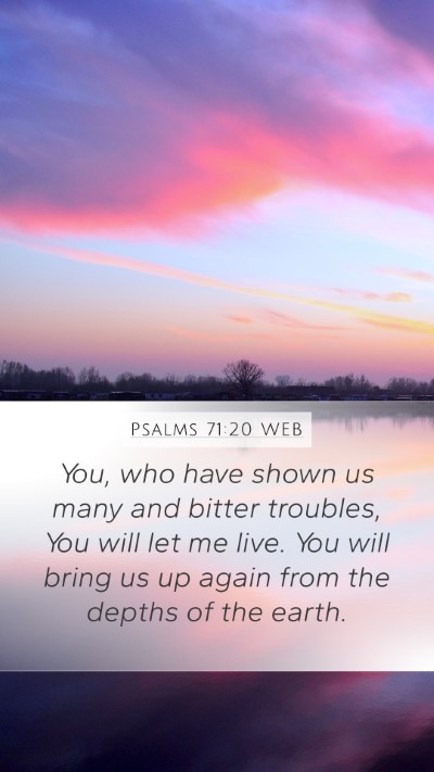 Psalms 71:20 WEB Bible Verse Image