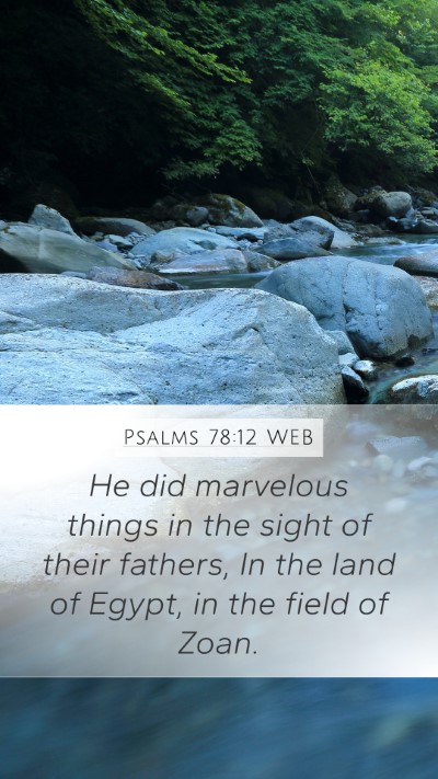 Psalms 78:12 WEB Bible Verse Image