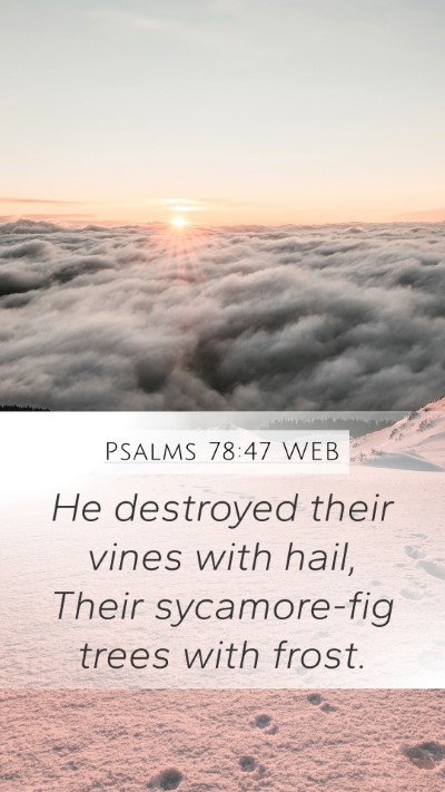 Psalms 78:47 WEB Bible Verse Image