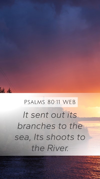 Psalms 80:11 WEB Bible Verse Image