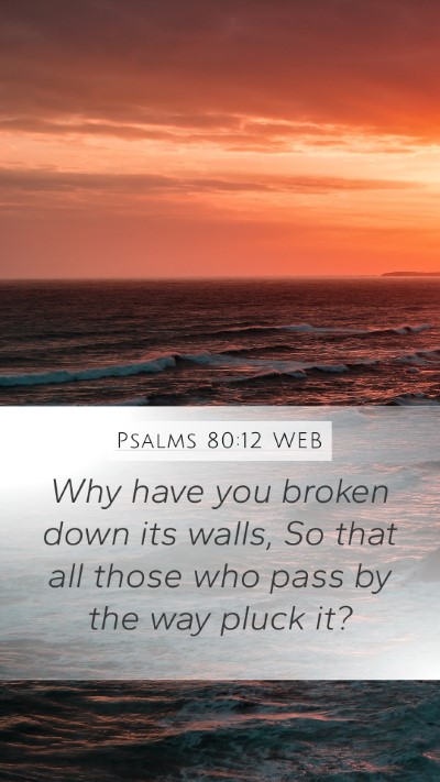 Psalms 80:12 WEB Bible Verse Image