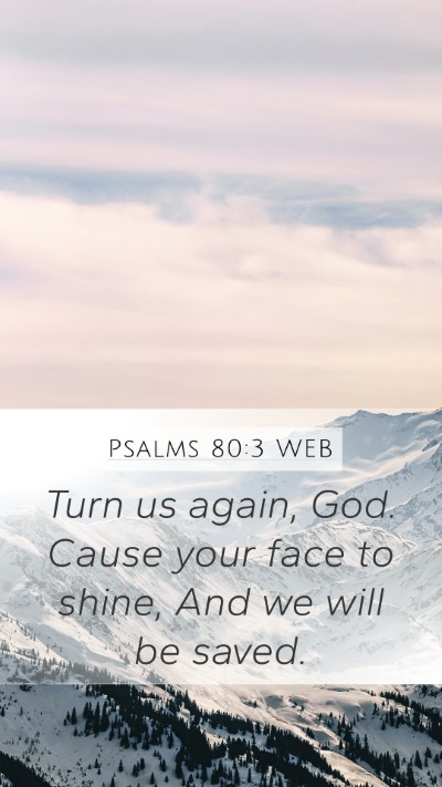 Psalms 80:3 WEB Mobile Phone Wallpaper - Turn us again, God. Cause your face to shine, And - Mobile Bible Verse Wallpaper