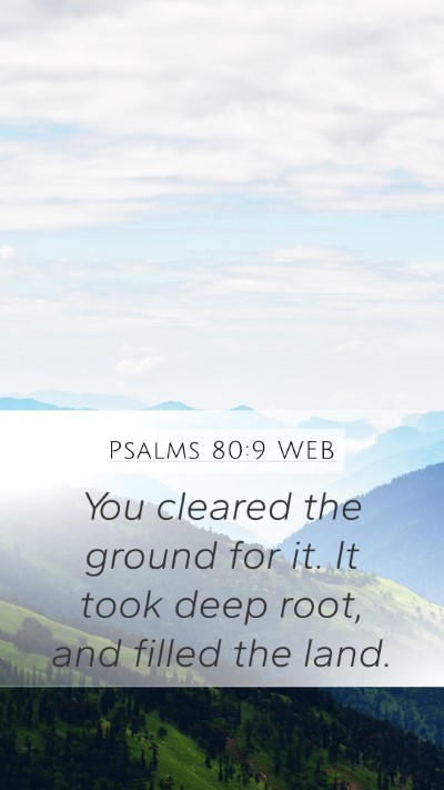 Psalms 80:9 WEB Bible Verse Image