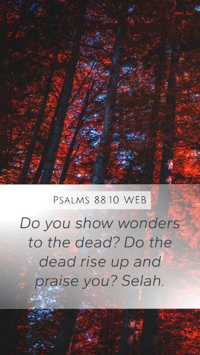 Psalms 88:10 WEB Bible Verse Image