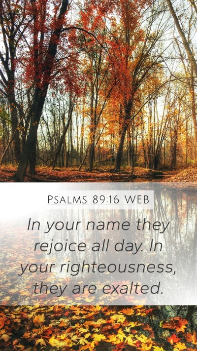 Psalms 89:16 WEB Bible Verse Image