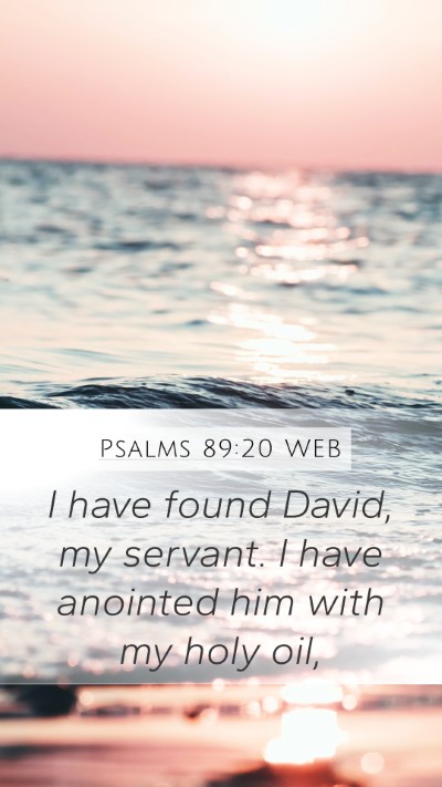 Psalms 89:20 WEB Bible Verse Image
