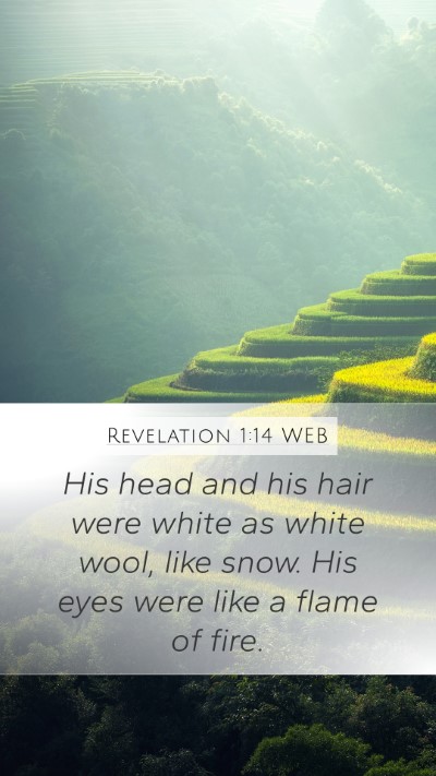 Revelation 1:14 WEB Bible Verse Image