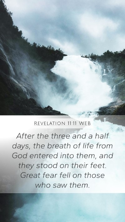 Revelation 11:11 WEB Bible Verse Image