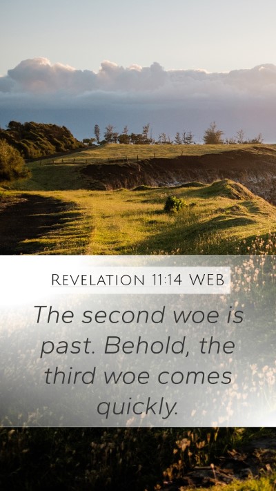 Revelation 11:14 WEB Bible Verse Image
