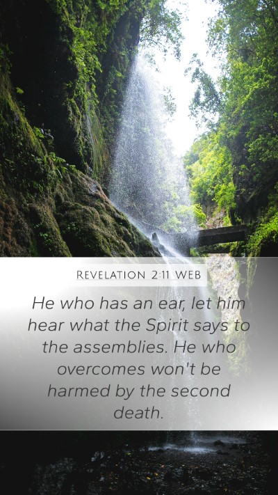Revelation 2:11 WEB Bible Verse Image