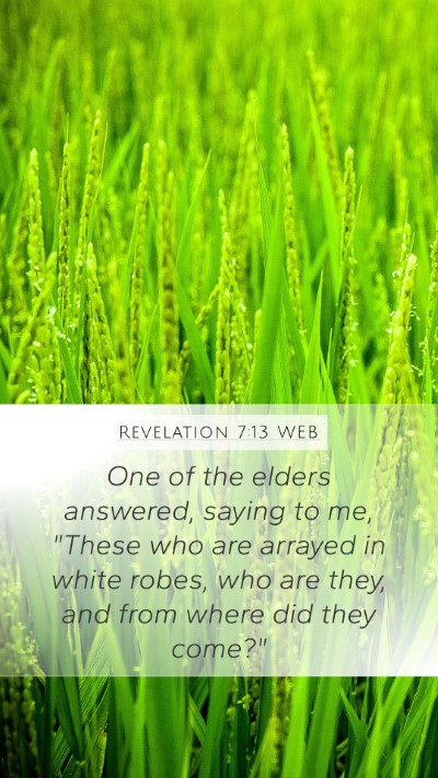 Revelation 7:13 WEB Bible Verse Image