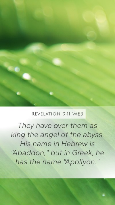 Revelation 9:11 WEB Bible Verse Image