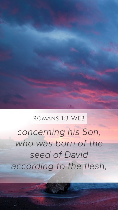 Romans 1:3 WEB Bible Verse Image