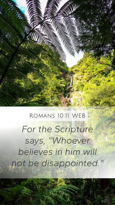 Romans 10:11 WEB Bible Verse Image