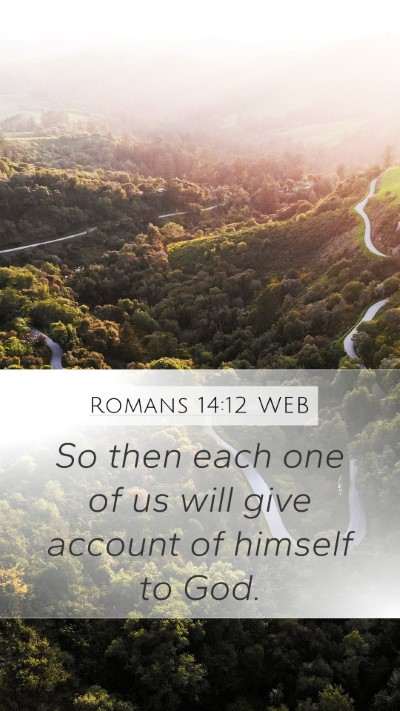 Romans 14:12 WEB Bible Verse Image