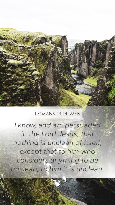 Romans 14:14 WEB Bible Verse Image