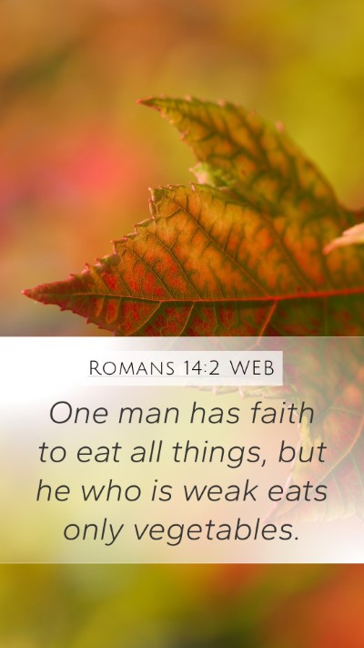 Romans 14:2 WEB Bible Verse Image