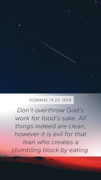 Romans 14:20 WEB Bible Verse Image