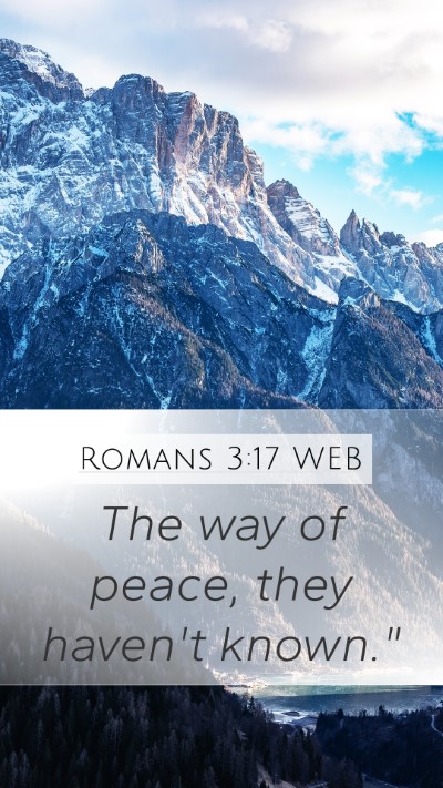 Romans 3:17 WEB Mobile Phone Wallpaper - The way of peace, they haven't - Mobile Bible Verse Wallpaper