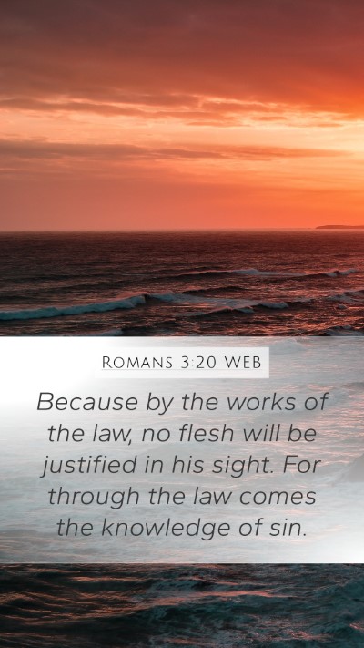 Romans 3:20 WEB Bible Verse Image