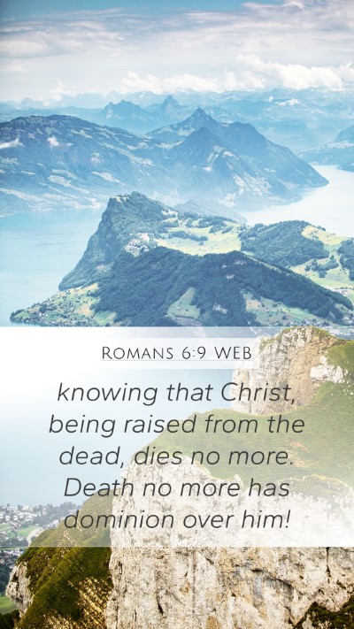 Romans 6:9 WEB Bible Verse Image