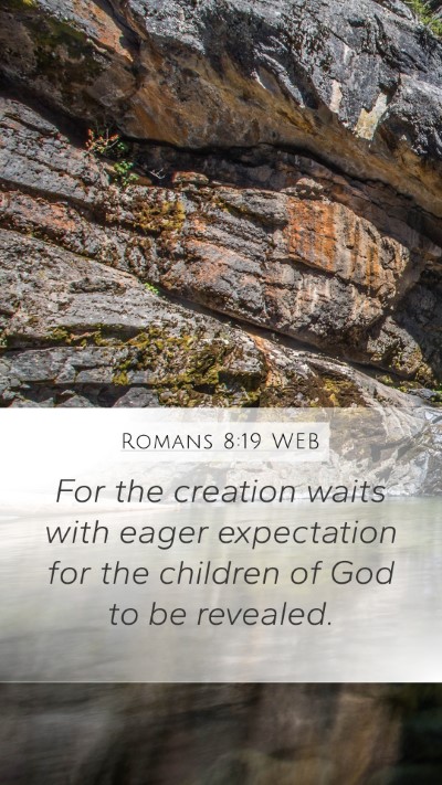 Romans 8:19 WEB Bible Verse Image