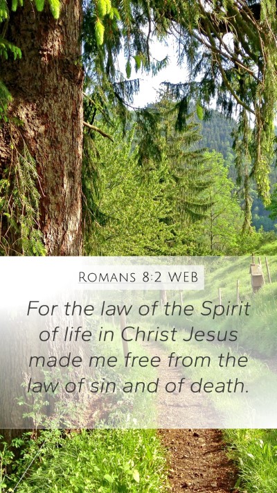 Romans 8:2 WEB Bible Verse Image