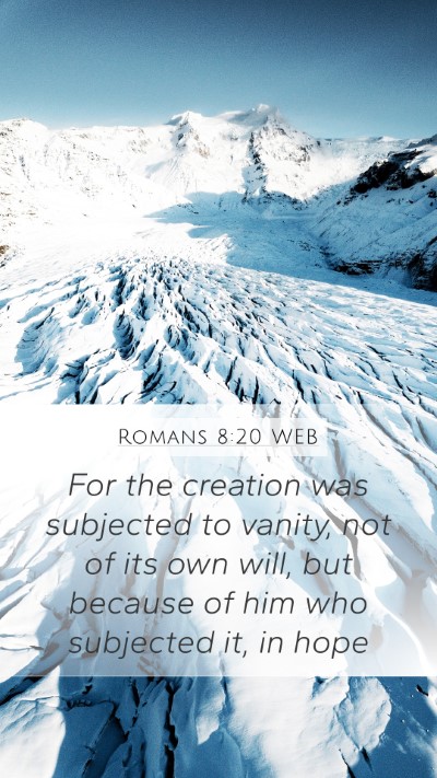 Romans 8:20 WEB Bible Verse Image