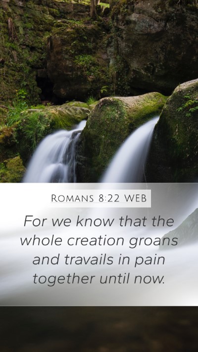 Romans 8:22 WEB Bible Verse Image