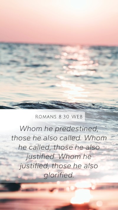 Romans 8:30 WEB Bible Verse Image