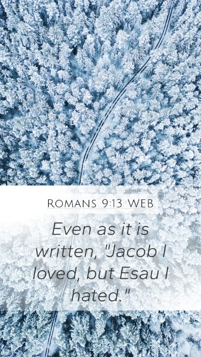 Romans 9:13 WEB Bible Verse Image