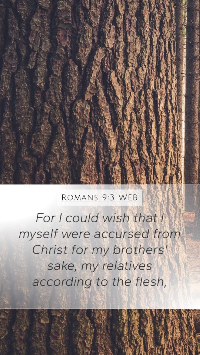 Romans 9:3 WEB Bible Verse Image