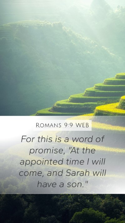 Romans 9:9 WEB Bible Verse Image