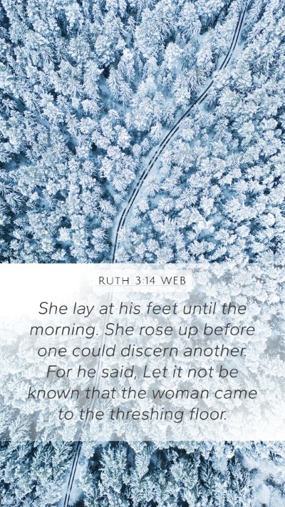 Ruth 3:14 WEB Mobile Phone Wallpaper - She lay at his feet until the morning. She rose - Mobile Bible Verse Wallpaper