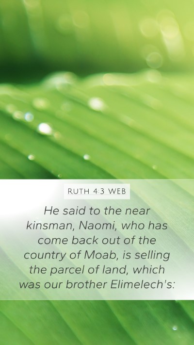 Ruth 4:3 WEB Bible Verse Image