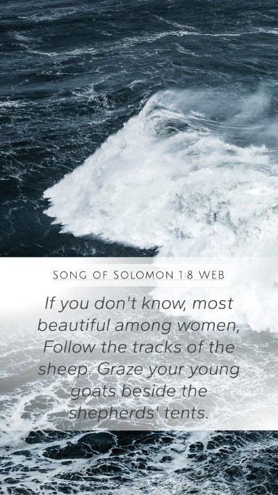 Song of Solomon 1:8 WEB Bible Verse Image